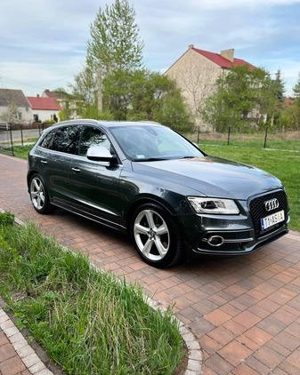 Audi SQ5 cena 109900 przebieg: 191000, rok produkcji 2014 z Oleśnica małe 436